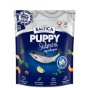 BALTICA Karma z łososiem dla szczeniąt średnich i dużych ras 1kg BALTICA Karma z łososiem dla szczeniąt średnich i dużych ras 1kg