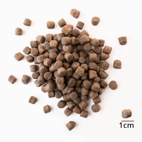 BALTICA Karma z łososiem dla szczeniąt średnich i dużych ras 1kg BALTICA Karma z łososiem dla szczeniąt średnich i dużych ras 1kg