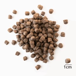 BALTICA Karma z łososiem i kaczką dla szczeniąt średnich i dużych ras 1kg