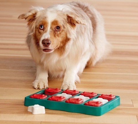 Nina Ottosson Dog Brick - gra edukacyjna dla psów - poziom 2 Nina Ottosson Dog Brick - gra edukacyjna dla psów - poziom 2