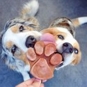 SMOOTHIEDOG Foremka do lodów i pieczenia ciastek dla psa