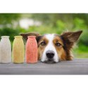 SMOOTHIEDOG Foremka do lodów i pieczenia ciastek dla psa