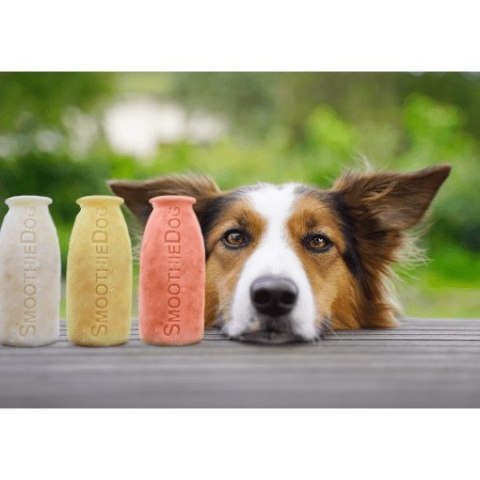 SMOOTHIEDOG Foremka do lodów i pieczenia ciastek dla psa SMOOTHIEDOG Foremka do lodów i pieczenia ciastek dla psa