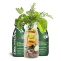 SmoothieDog JAGNIĘCINA - Naturalna harmonia smaku i zdrowia