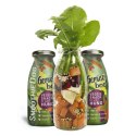 SmoothieDog VEGE-LOVE- smoothie warzywne dla psa
