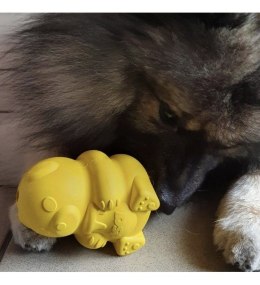 SodaPup Honey Bear - Medium - Yellow