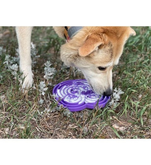 SodaPup Water Frog - Purple - miska spowalniająca