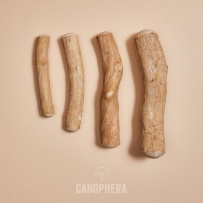 Canophera- Patyk z drzewa kawowego L Canophera- Patyk z drzewa kawowego L