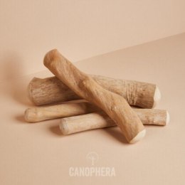 Canophera- Patyk z drzewa kawowego XS