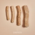 Canophera- Patyk z drzewa kawowego S Canophera- Patyk z drzewa kawowego S