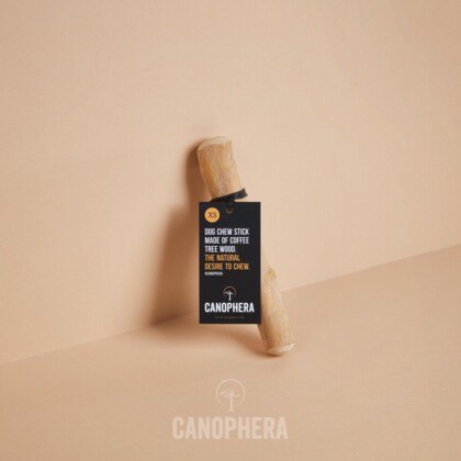 Canophera- Patyk z drzewa kawowego S Canophera- Patyk z drzewa kawowego S