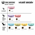 Karma sucha dla psa SH Królik i łosoś 1,5 kg