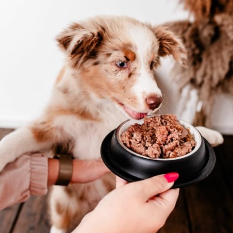 PERRO Karma mokra Gourmet KONINA z cukinią - dla szczeniąt wszystkich ras 400g