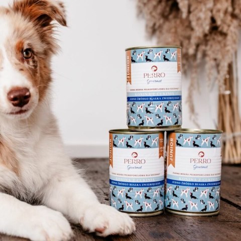 PERRO Karma mokra Gourmet KONINA z cukinią - dla szczeniąt wszystkich ras 400g