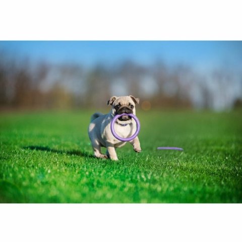 PULLER micro 12,5cm dla psów ras miniaturkowych