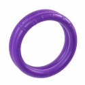 PULLER mini 18cm dla psów ras małych