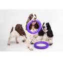 PULLER standard 28cm dla psów ras dużych i średnich