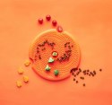 Pet Dream House Spin Lick Frisbee- frisbee i mata do lizania 2w1 niebieska
