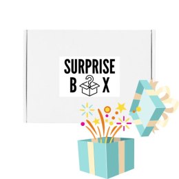 SURPRISE BOX- niespodzianka dla psa!