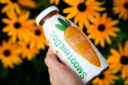SmoothieDog MORO-ART Marchwianka