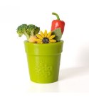 SodaPup Flower pot green - doniczka na jedzenie dla psa