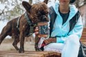TRZYPSY Karma dla psa Wieprzowina z indykiem 300g