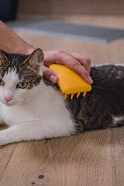 FIBOO Szczotka miękka dla psa i kota