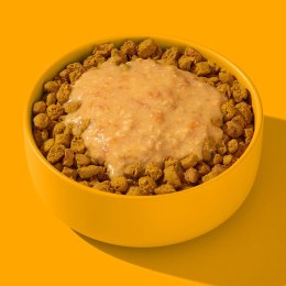 FRED Smoothie dla psa Kurczak z kurkumą 200g
