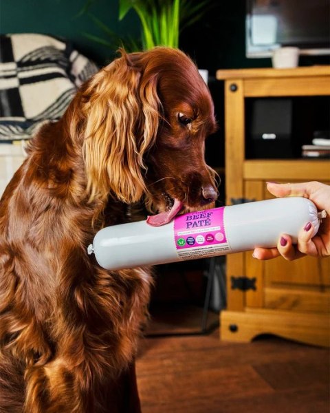JR Pets Kiełbasa dla psa 100% mięsa z wołowiny 800g JR Pets Kiełbasa dla psa 100% mięsa z wołowiny 800g