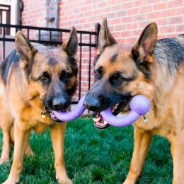 KONG® ZABAWKA DLA PSA OGEE™ STICK
