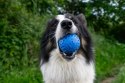 Kiwi Walker Let's Play BALL Maxi piłka niebieska 8cm