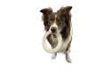 Kiwi Walker Let's Play GLOW RING Mini