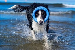 Kiwi Walker Let's Play! RING Maxi niebieski