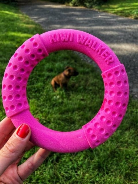 Kiwi Walker Let's Play! RING Mini pomarańczowy Kiwi Walker Let's Play! RING Mini pomarańczowy
