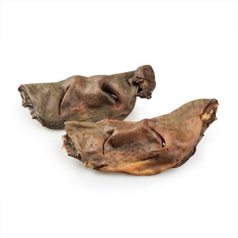 MEATSTUFF Naturalny gryzak Nosek wołowy 500g