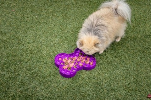 Miska slow food spowalniająca jedzenie SMALL SLODOG® fioletowa