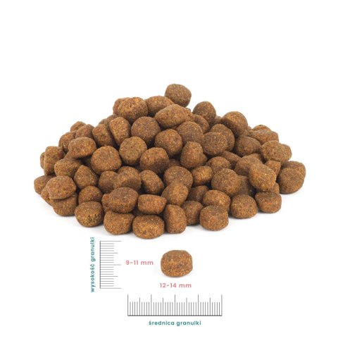 PERRO Karma sucha Wołowina z jagnięciną - bezzbożowa karma sucha dla psów dorosłych średnich i dużych ras 12kg PERRO Karma sucha Wołowina z jagnięciną - bezzbożowa karma sucha dla psów dorosłych średnich i dużych ras 12kg