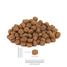 PERRO Karma sucha Wołowina z jagnięciną - bezzbożowa karma sucha dla psów dorosłych średnich i dużych ras 1kg