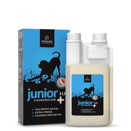 POKUSA Chondroline Junior +HA naturalny suplement dla szczeniąt w płynie