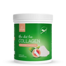 POKUSA Kolagen ze skór ryb oceanicznych - naturalny suplement dla psów i kotów