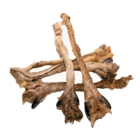 BALTO Skóra jelenia z racic, z futrem 250g