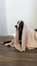 BIZIPETS- Antybakteryjny duży ręczniczek dla psa- szary