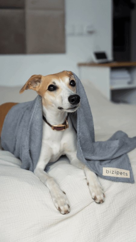 BIZIPETS- Antybakteryjny duży ręczniczek dla psa- szary