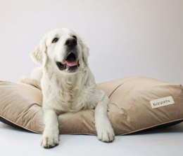 BIZIPETS Legowisko dla psa PREMIUM beżowe S