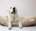 BIZIPETS Legowisko dla psa PREMIUM szare M
