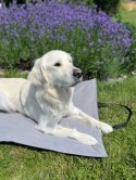 BIZIPETS Mato-torba beżowa 100cmx70cm