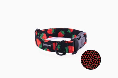 BanditPaws- Obroża dla psa- WOOFBERRY M