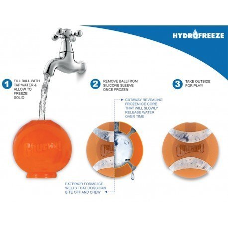 Chuckit!- HYDROFREEZE LARGE - piłka dla psa