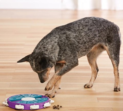 Nina Ottosson DOG TWISTER - gra edukacyjna dla psów - poziom 3 Nina Ottosson DOG TWISTER - gra edukacyjna dla psów - poziom 3