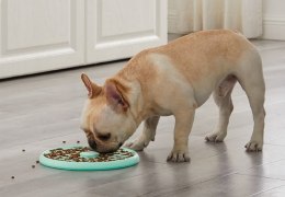 Outward Hound FUN FEEDER SLO TRAY MISKA